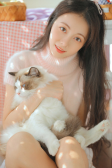 大家庭电视剧免费